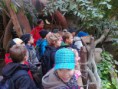 /album/zoo-praha-5-a/a011020131119-jpg/