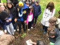 /album/erasmus-2025-cottbus/halimg-20250519-wa0007-jpg/